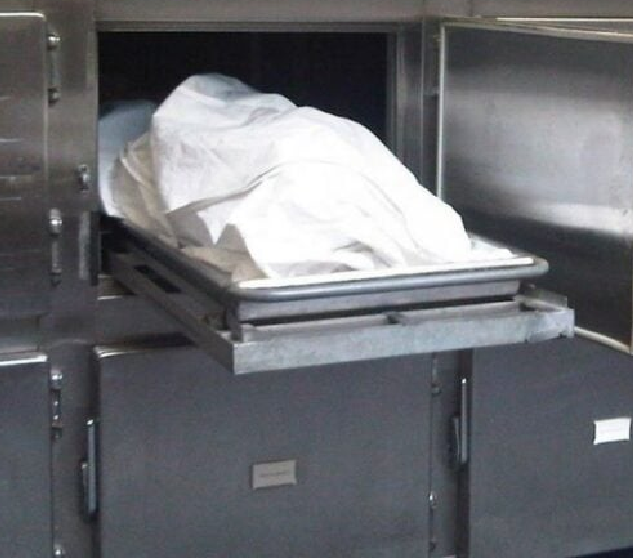 Fridge Freezer Rental